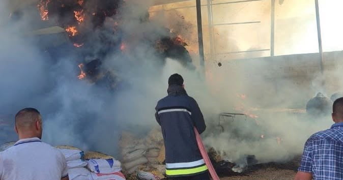 HATAY (İHA) - HATAY'DA SAMANLIKTA ÇIKAN YANGINDA DUMANLARDAN ETKİLENEN 3 BUZAĞI TELEF OLURKEN, 3...