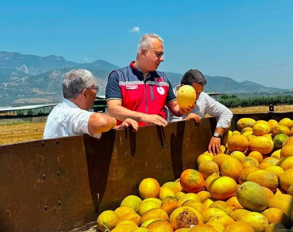 HATAY İL TARIM VE ORMAN MÜDÜRÜ ABDURRAHMAN TÜRKMEN, KIRIKHAN İLÇESİNDE COĞRAFİ İŞARET TESCİLLİ...