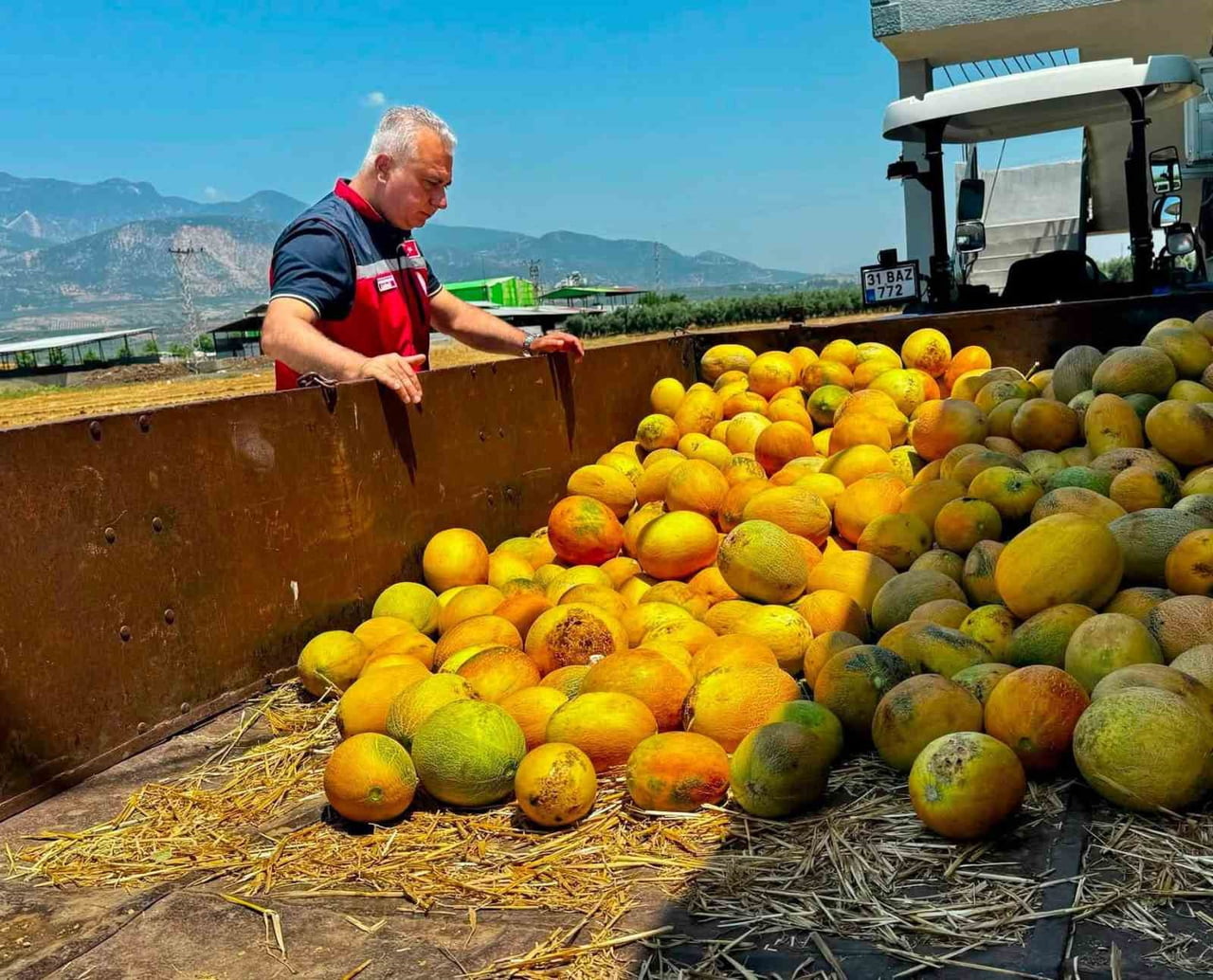HATAY İL TARIM VE ORMAN MÜDÜRÜ ABDURRAHMAN TÜRKMEN, KIRIKHAN İLÇESİNDE COĞRAFİ İŞARET TESCİLLİ...