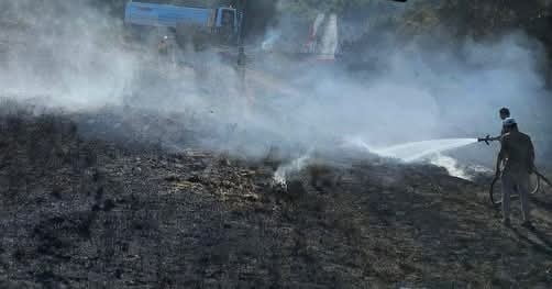 HATAY’IN ANTAKYA İLÇESİNDE BAHÇEDE ÇIKAN YANGIN, İTFAİYE EKİPLERİNİN HIZLI MÜDAHALESİYLE GENİŞ...