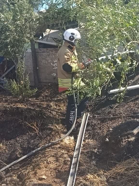 HATAY’IN KIRIKHAN İLÇESİNDE BAHÇEDE ÇIKAN YANGIN, İTFAİYE EKİPLERİNİN HIZLI MÜDAHALESİYLE GENİŞ...