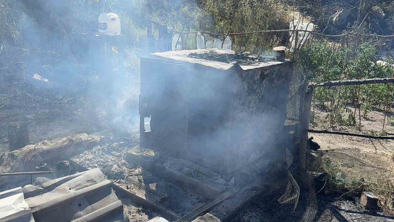 HENÜZ BELİRLENEMEYEN NEDENLE BAŞLAYAN YANGIN, RÜZGARIN ETKİSİYLE KISA SÜREDE GENİŞ BİR ALANA...