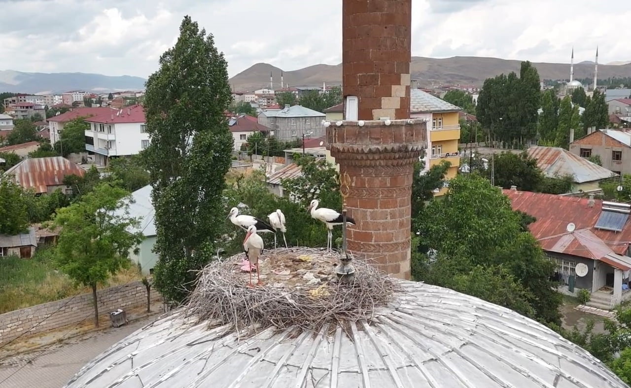 HER YIL BAHAR AYLARINDA YUVALARINA DÖNEN LEYLEKLER, BU YIL MEVSİMSEL DEĞİŞİKLİKLER NEDENİYLE...