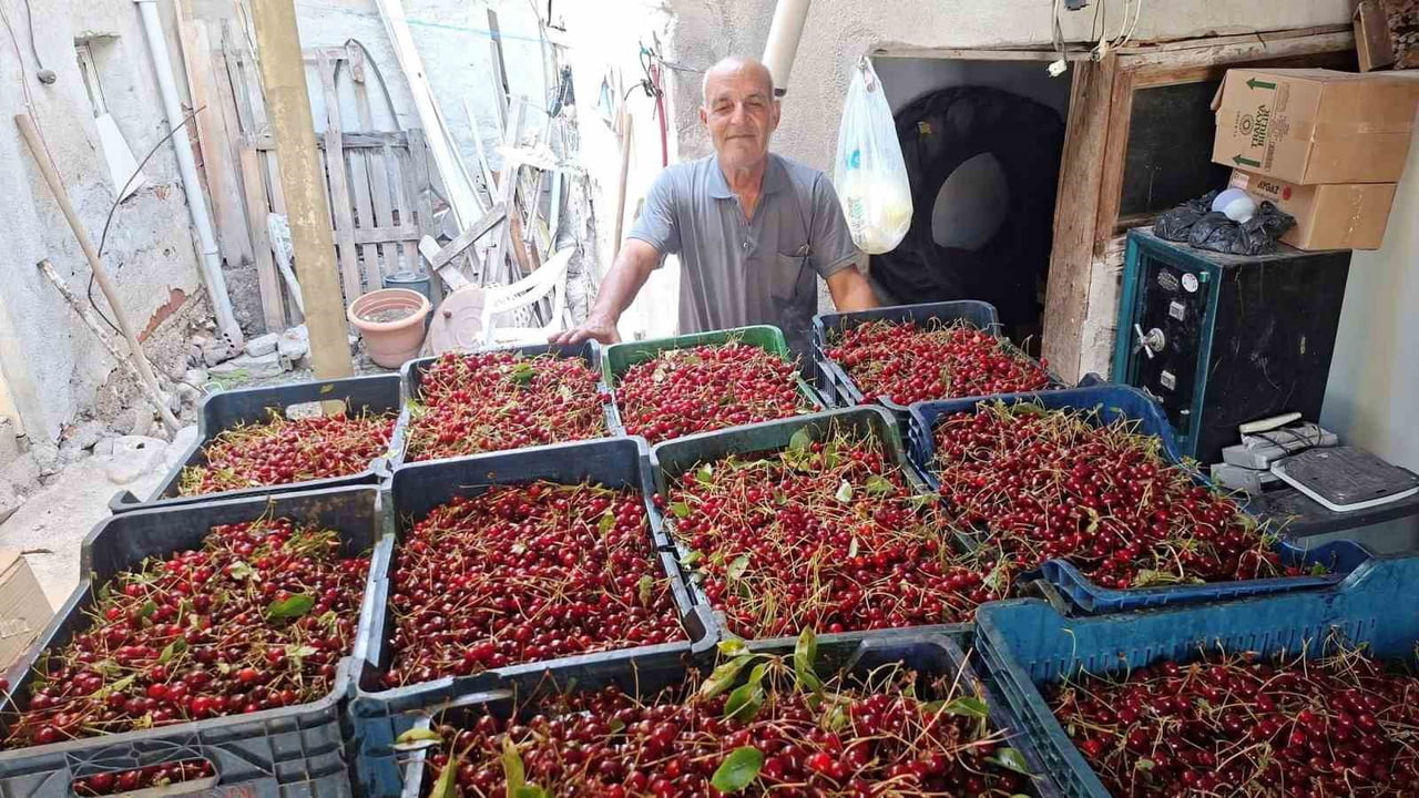 HİSARCIK'TA VİŞNE ALIMLARI BAŞLADI, ÜRETİCİ FİYATLARDAN MEMNUN DEĞİL