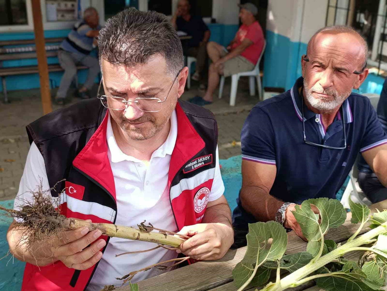 İL TARIM VE ORMAN MÜDÜRÜ MEHMET AKSOY (SOLDA) VE BERABERİNDEKİLER, FERHADANLI VE AHMEDİKLİ...