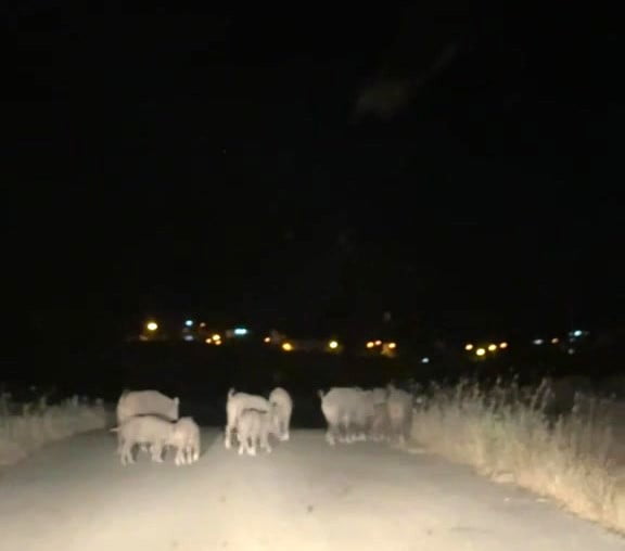 İLÇENİN HEMEN HER NOKTASINDA, ÖZELLİKLE GECE SAATLERİNDE KARAYOLLARINA VE YERLEŞİM ALANLARINA...