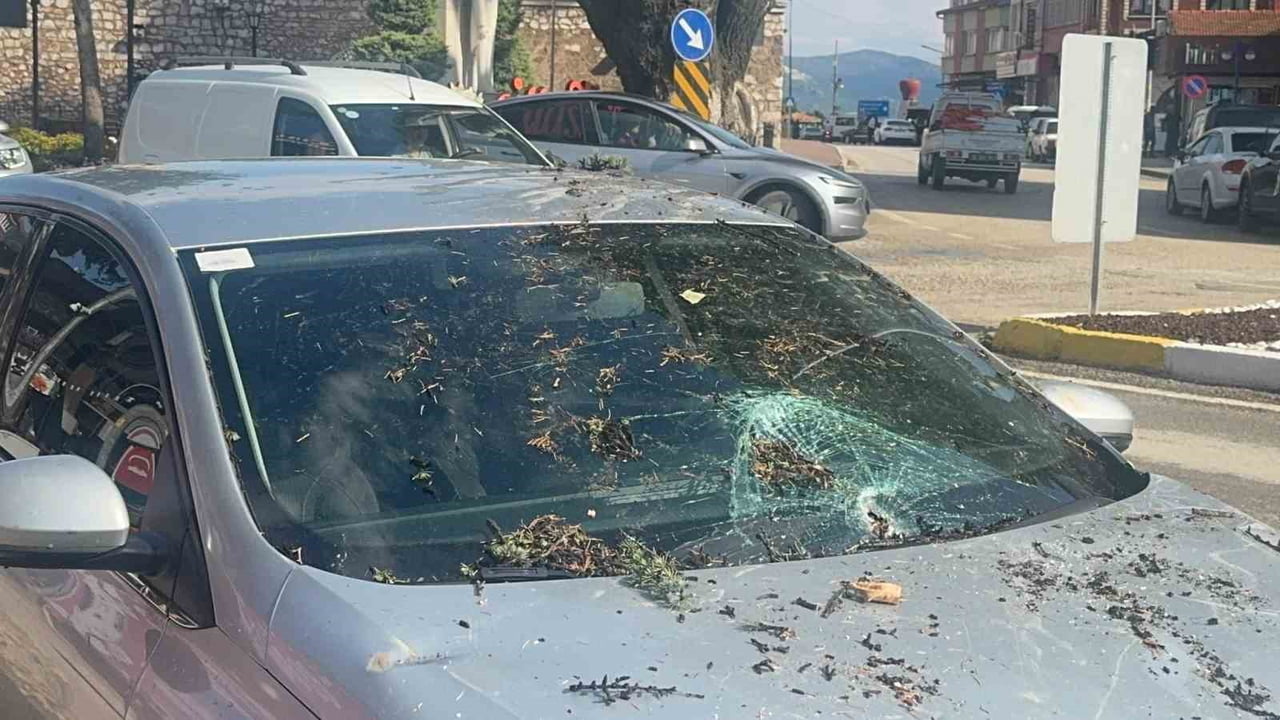 ISPARTA'NIN EĞİRDİR İLÇESİNDE ETKİLİ OLAN ŞİDDETLİ FIRTINA NEDENİYLE KÖKÜNDEN SÖKÜLEN ÇAM AĞACI...
