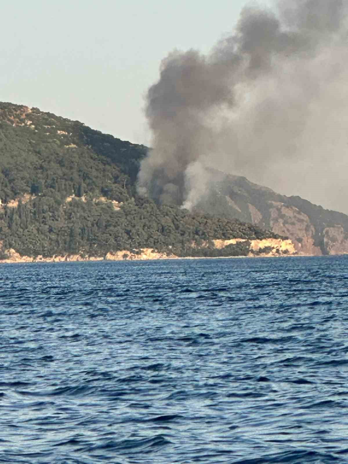İSTANBUL'UN ADALAR İLÇESİ BÜYÜKADA'DA BULUNAN VİRANBAĞ PLAJI'NDA ÇIKAN YANGIN PANİĞE NEDEN OLDU....