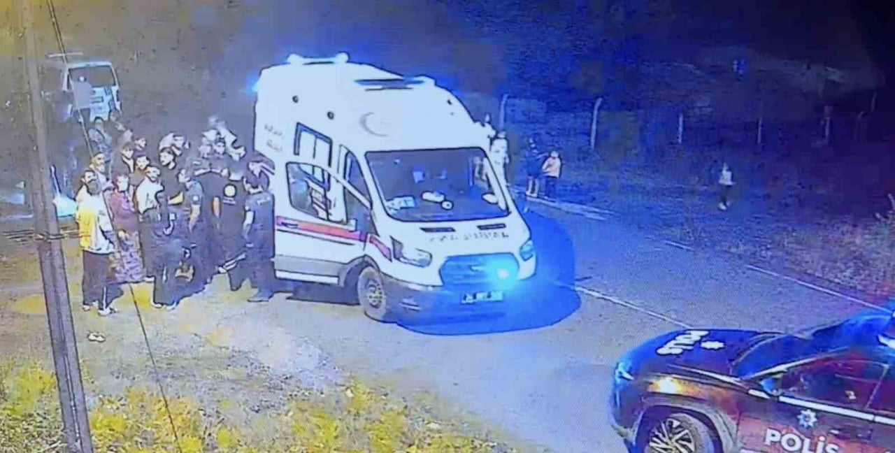 İSTANBUL'UN ARNAVUTKÖY İLÇESİNDE EŞİ VE YEĞENİYLE YÜRÜYÜŞ YAPAN GÜLER KARAVAY'A TİCARİ ARAÇ...