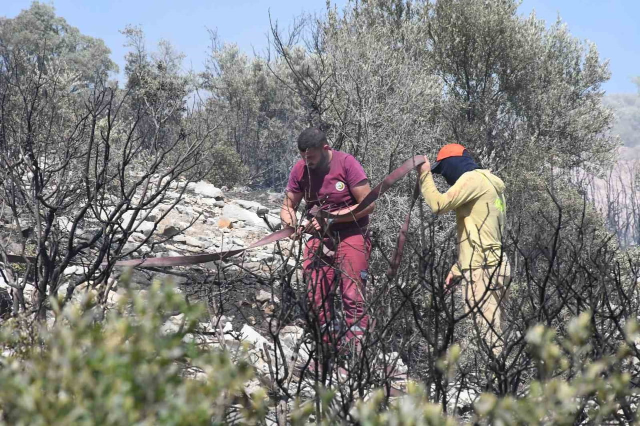İZMİR’İN TORBALI İLÇESİNDE ÇIKAN ORMAN YANGINI, EKİPLERİN HAVADAN VE KARADAN YÜRÜTTÜĞÜ YOĞUN...