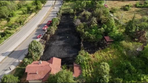 Jandarma, alevlerin arasındaki kaplumbağa ve yavrularını kurtardı