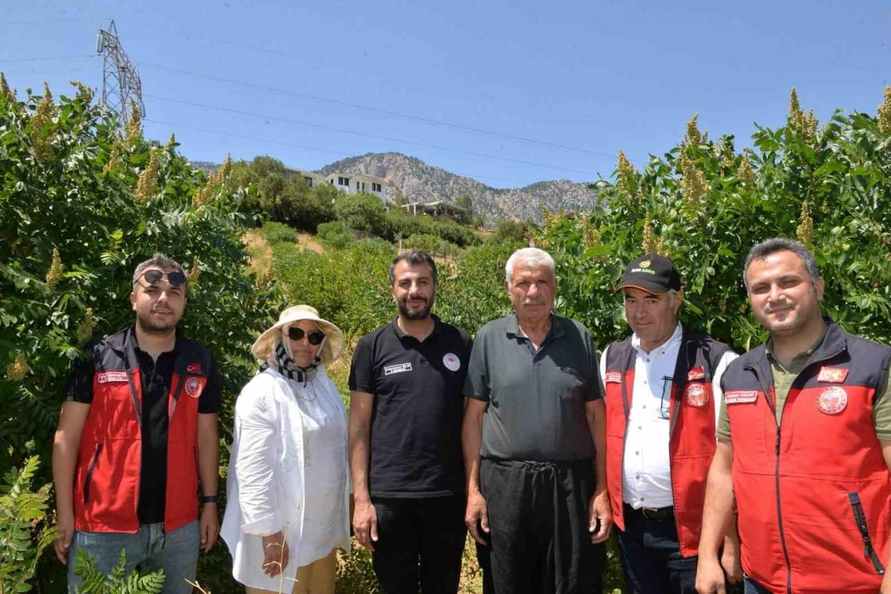 KAHRAMANMARAŞ'TA TARIM VE ORMAN BAKANLIĞI DESTEKLERİYLE 2022 YILINDAN BU YANA ÜRETİCİLERE...