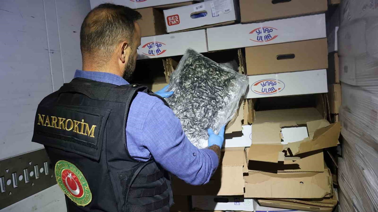 KAPIKULE GÜMRÜK KAPISI'NDA GERÇEKLEŞTİRİLEN OPERASYONDA, DONDURULMUŞ TAVUK ETİ YÜKLÜ BİR TIRDA 526...