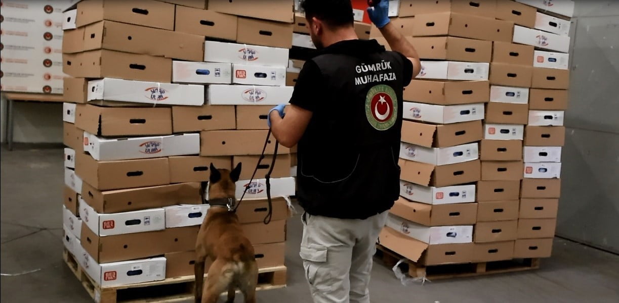 KAPIKULE GÜMRÜK KAPISI'NDA GERÇEKLEŞTİRİLEN OPERASYONDA, DONDURULMUŞ TAVUK ETİ YÜKLÜ BİR TIRDA 526...
