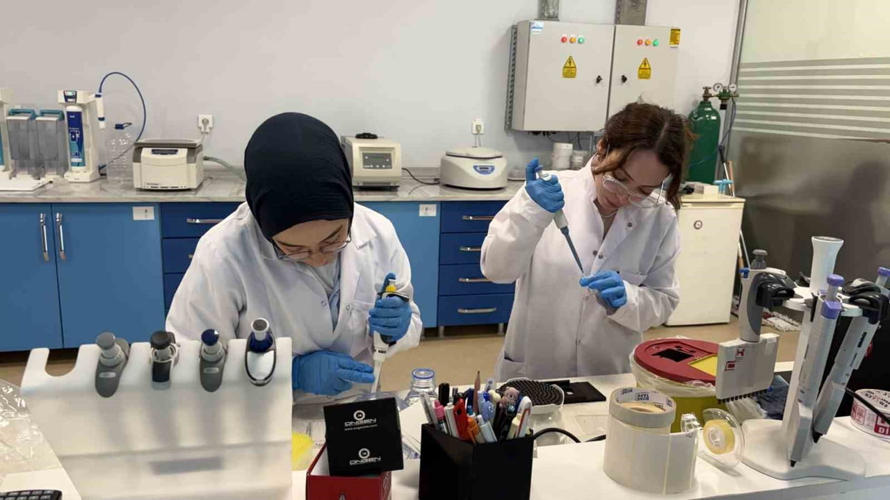 KARABÜK ÜNİVERSİTESİ'NDE (KBÜ) TÜRKİYE SAĞLIK ENSTİTÜLERİ BAŞKANLIĞI B GRUBU AR-GE PROGRAMI...