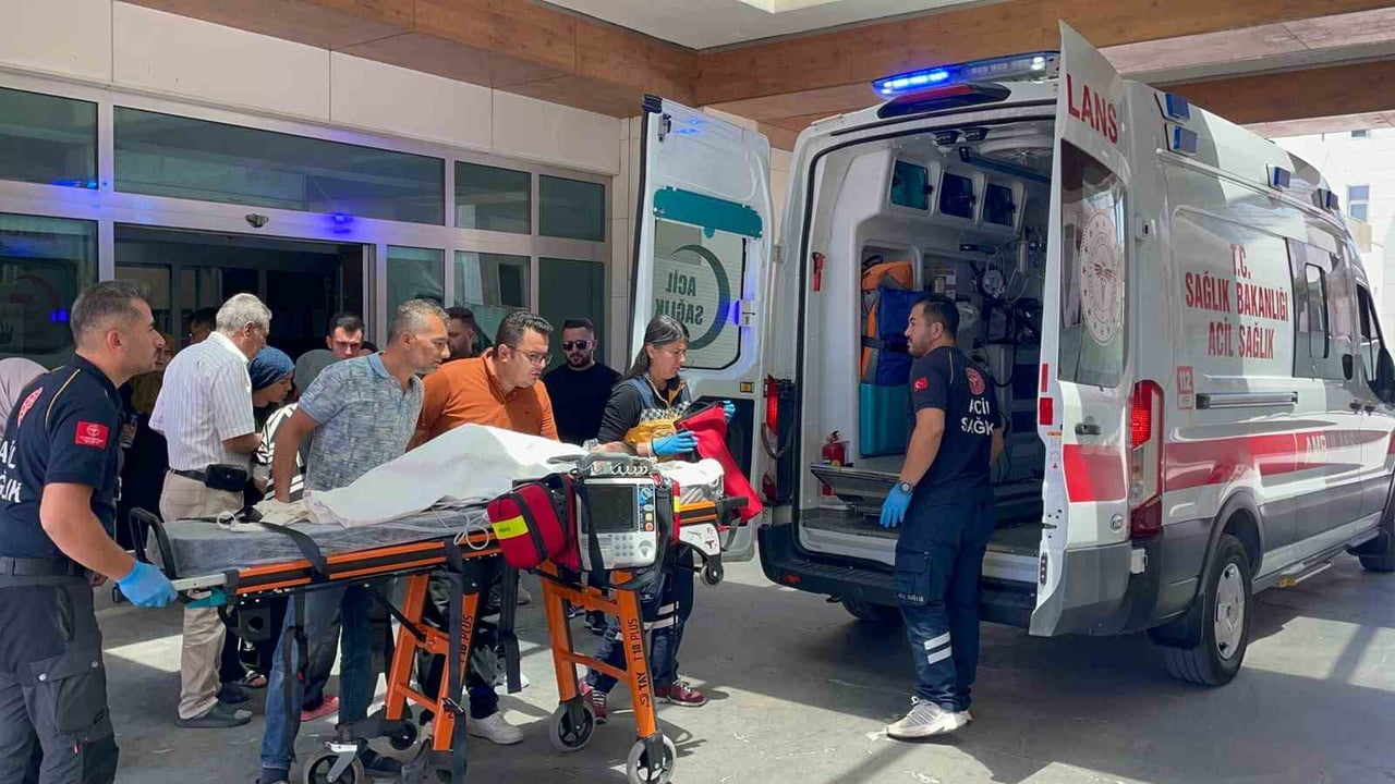 KARAMAN'DA SAHİBİNDEN KAÇTIĞI İDDİA EDİLEN BELÇİKA KURDU CİNSİ KÖPEĞİN SALDIRISINA UĞRAYAN 3...