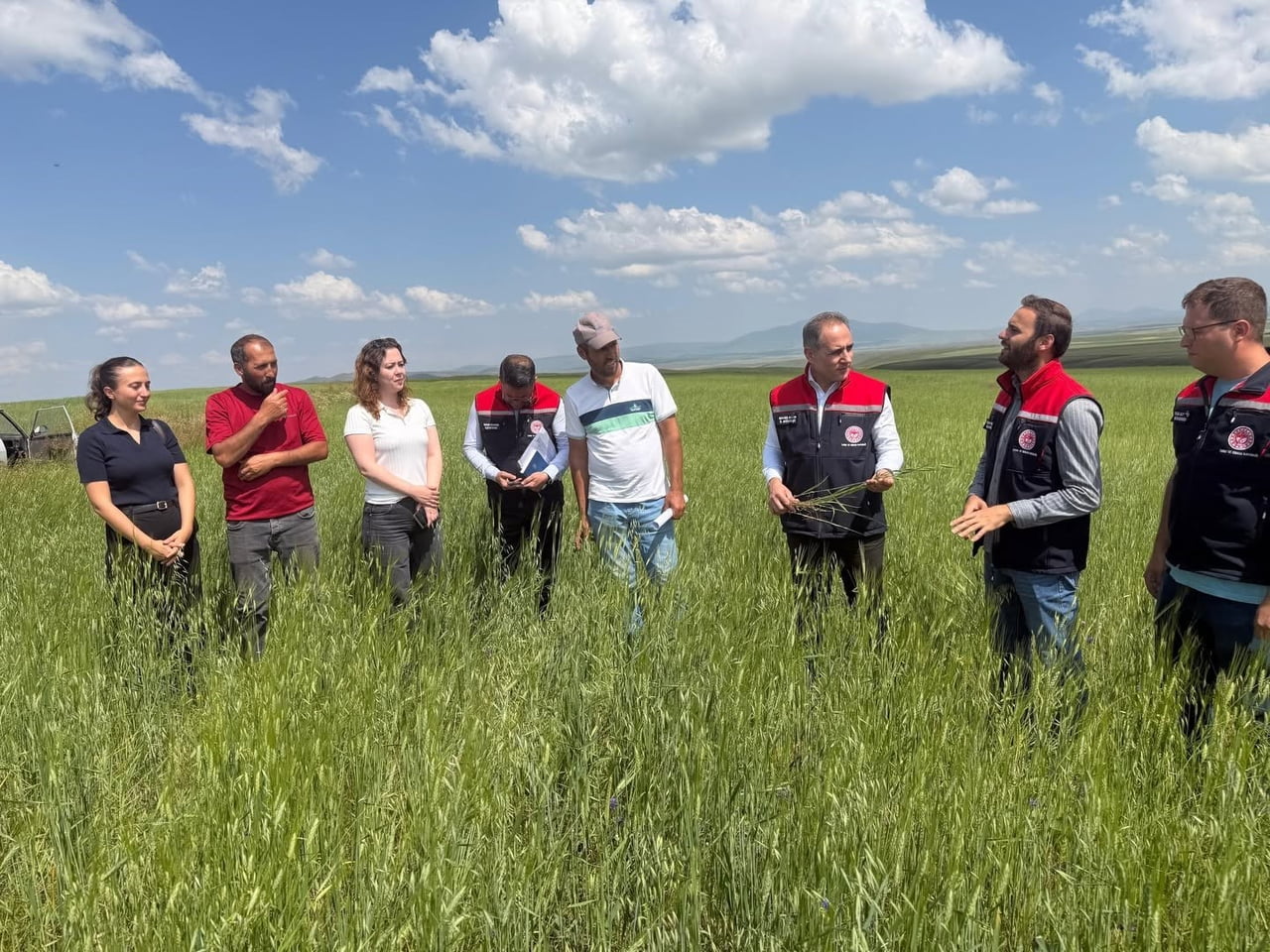 KARS'IN ATA TOHUMU KAVILCA GELECEĞE TAŞINIYOR(KARS-İHA)