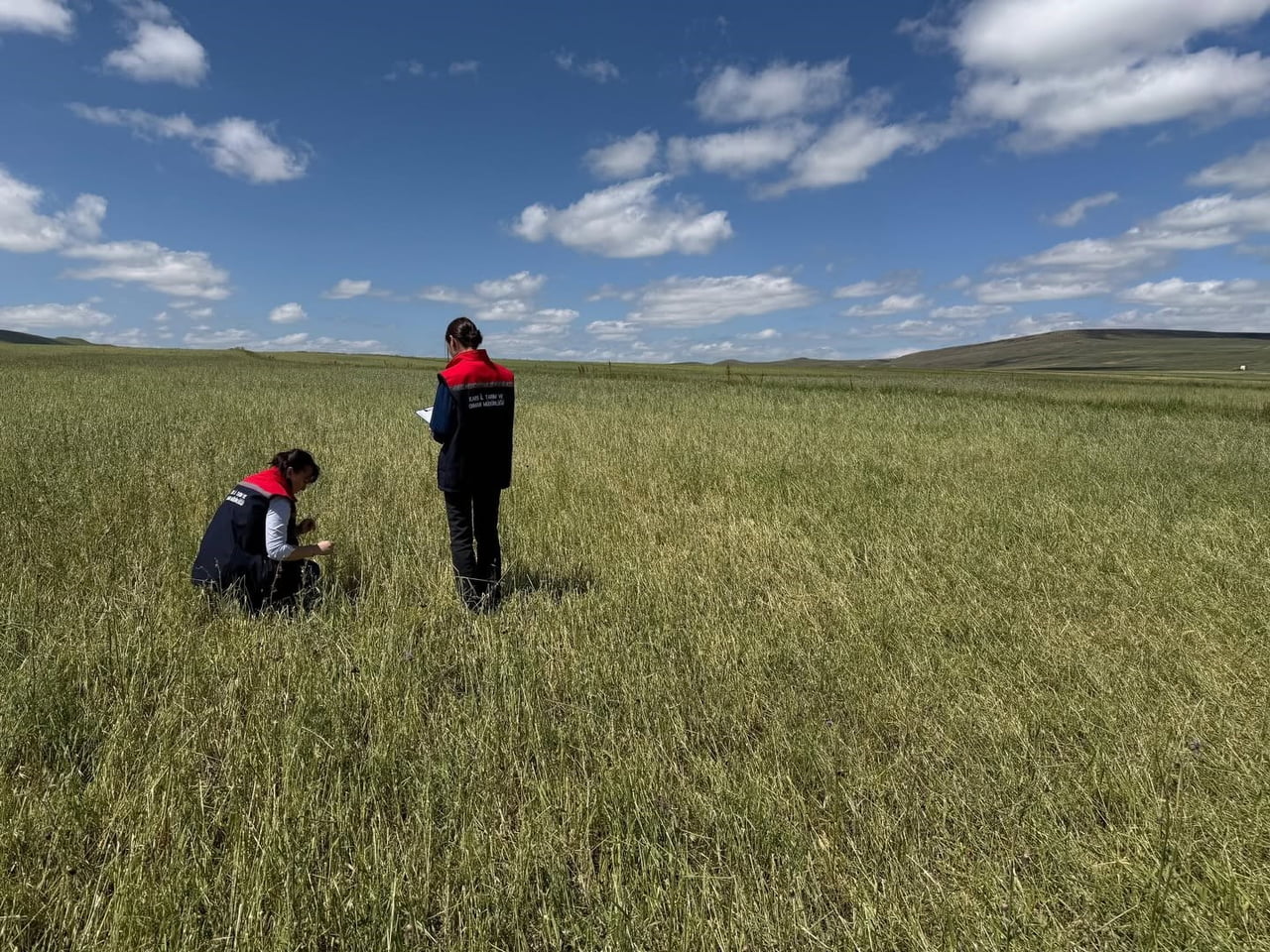 KARS'TA DOĞAL AFET SONRASI SEFERBERLİK: TARIM EKİPLERİ HASAR TESPİTİ İÇİN SAHADA(KARS-İHA)