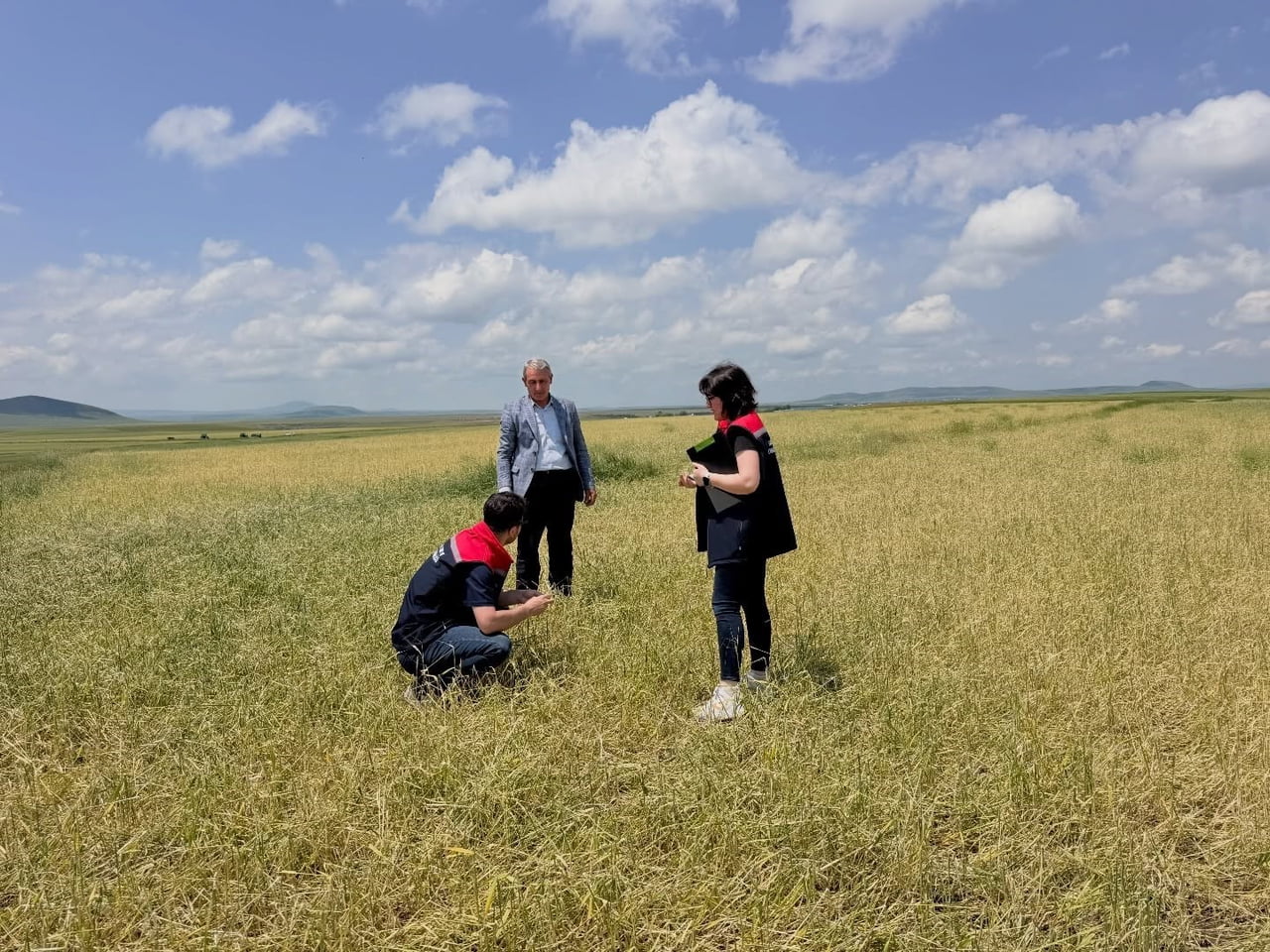 KARS'TA FIRTINA VE DOLU SONRASI HASAR TESPİT ÇALIŞMALARI BAŞLADI(KARS-İHA)