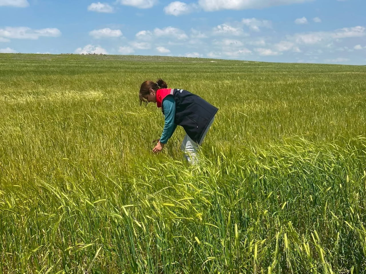KARS'TA FIRTINA VE DOLU SONRASI HASAR TESPİT ÇALIŞMALARI BAŞLADI(KARS-İHA)