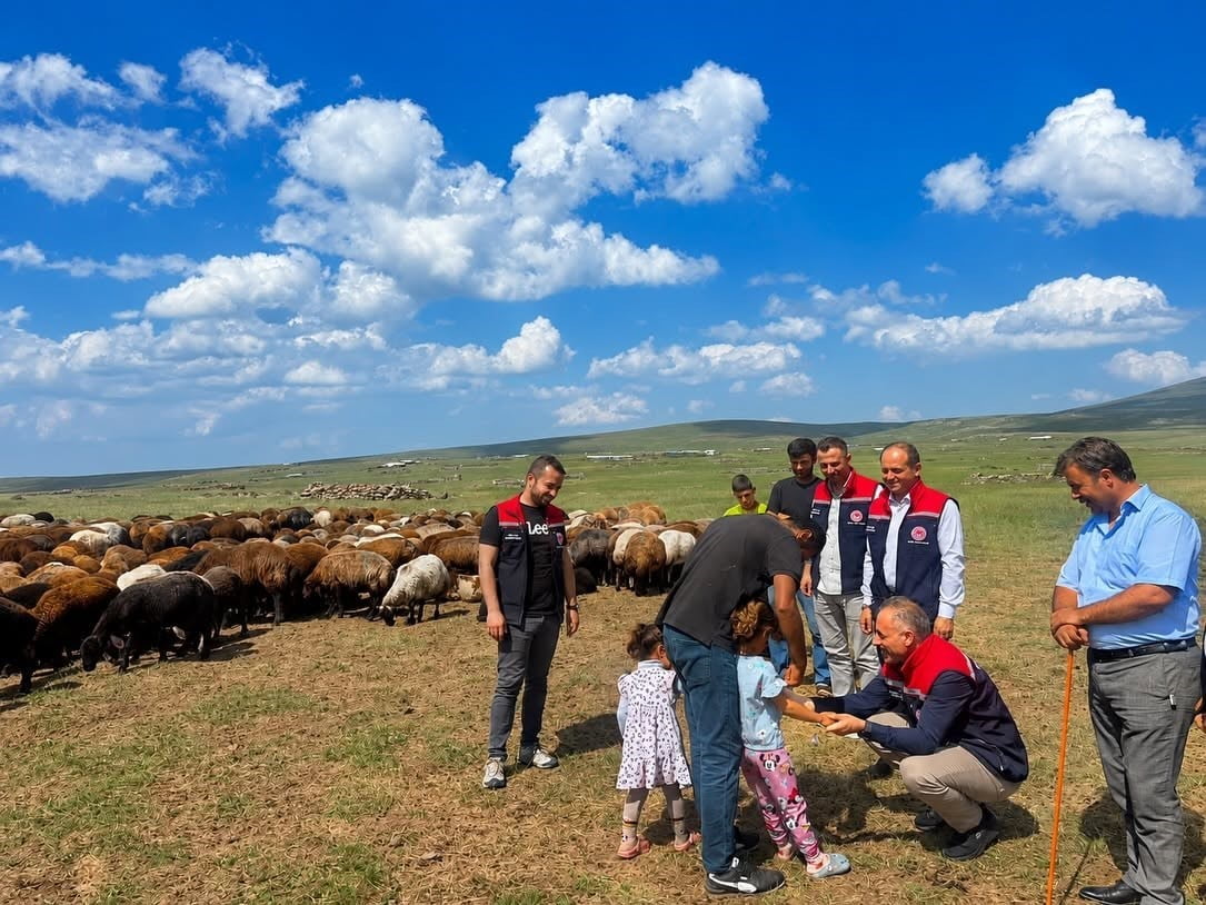 KARS'TA YAYLALARDA HAYVANCILIĞA YAKIN TAKİP(KARS-İHA)