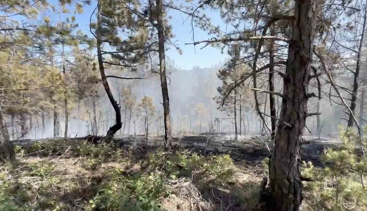 KASTAMONU'DA ORMANLIK ALANDA ÇIKAN YANGIN HAVADAN VE KARADAN YAPILAN MÜDAHALEYLE BÜYÜMEDEN...