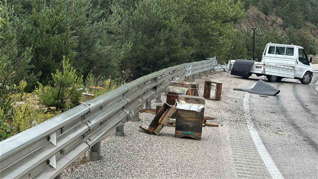 KASTAMONU’NUN DEVREKANİ İLÇESİNDE ARI KOVANI YÜKLÜ KAMYONET DEMİR BARİYERLERE ÇARPTI. KAZADA...