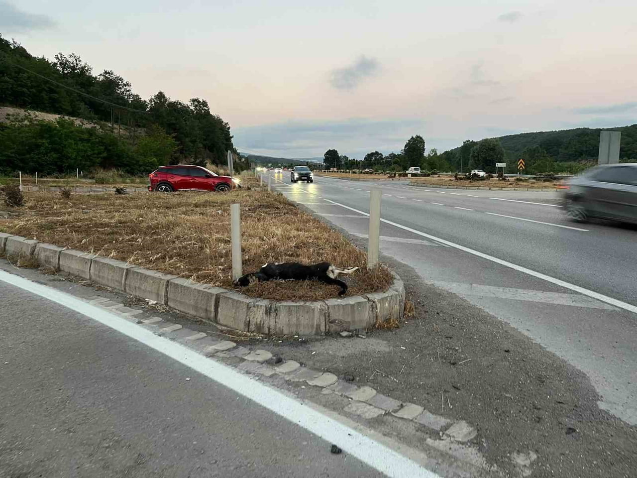 KAVAK'TA MOTOSİKLET KAZASI: KÖPEĞE ÇARPAN SÜRÜCÜ VE YOLCU YARALANDI