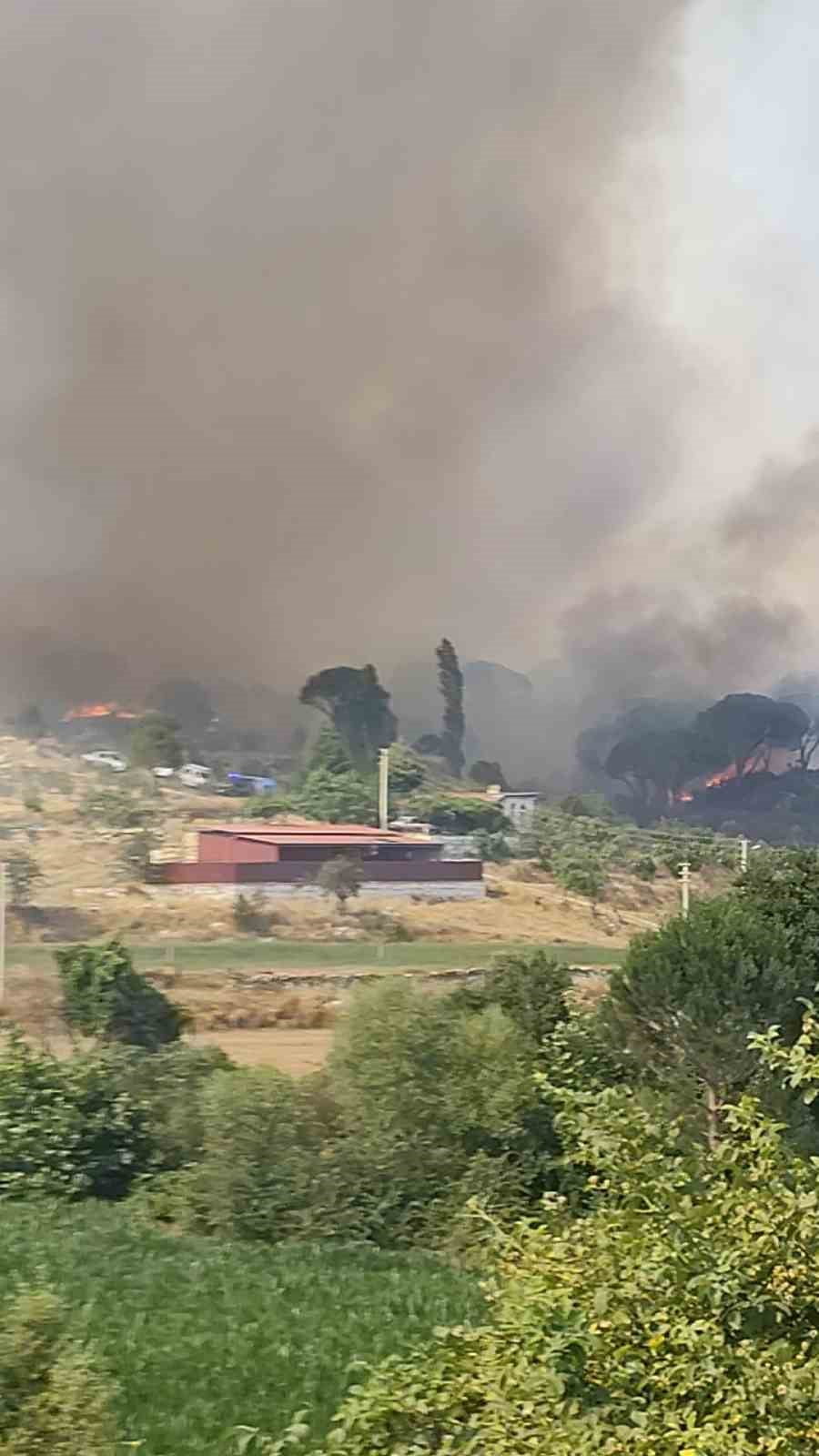 KAVAKLIDERE’DEKİ YANGINA MÜDAHALE SÜRÜYOR
