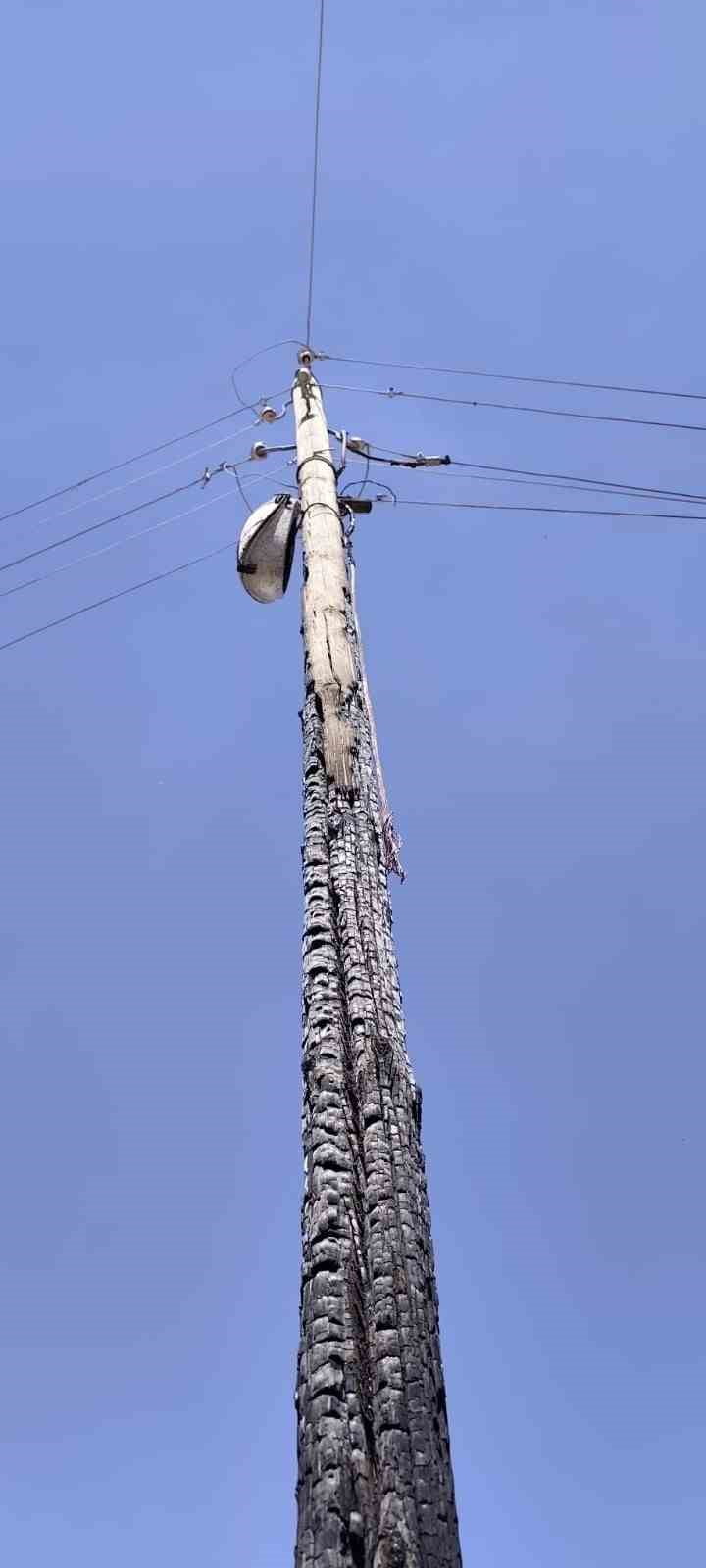 KENTİN 6 İLÇESİNDE ÇIKAN YANGINLARDA 71 ELEKTRİK DİREĞİ YANARAK KULLANILAMAZ HALE GELDİ