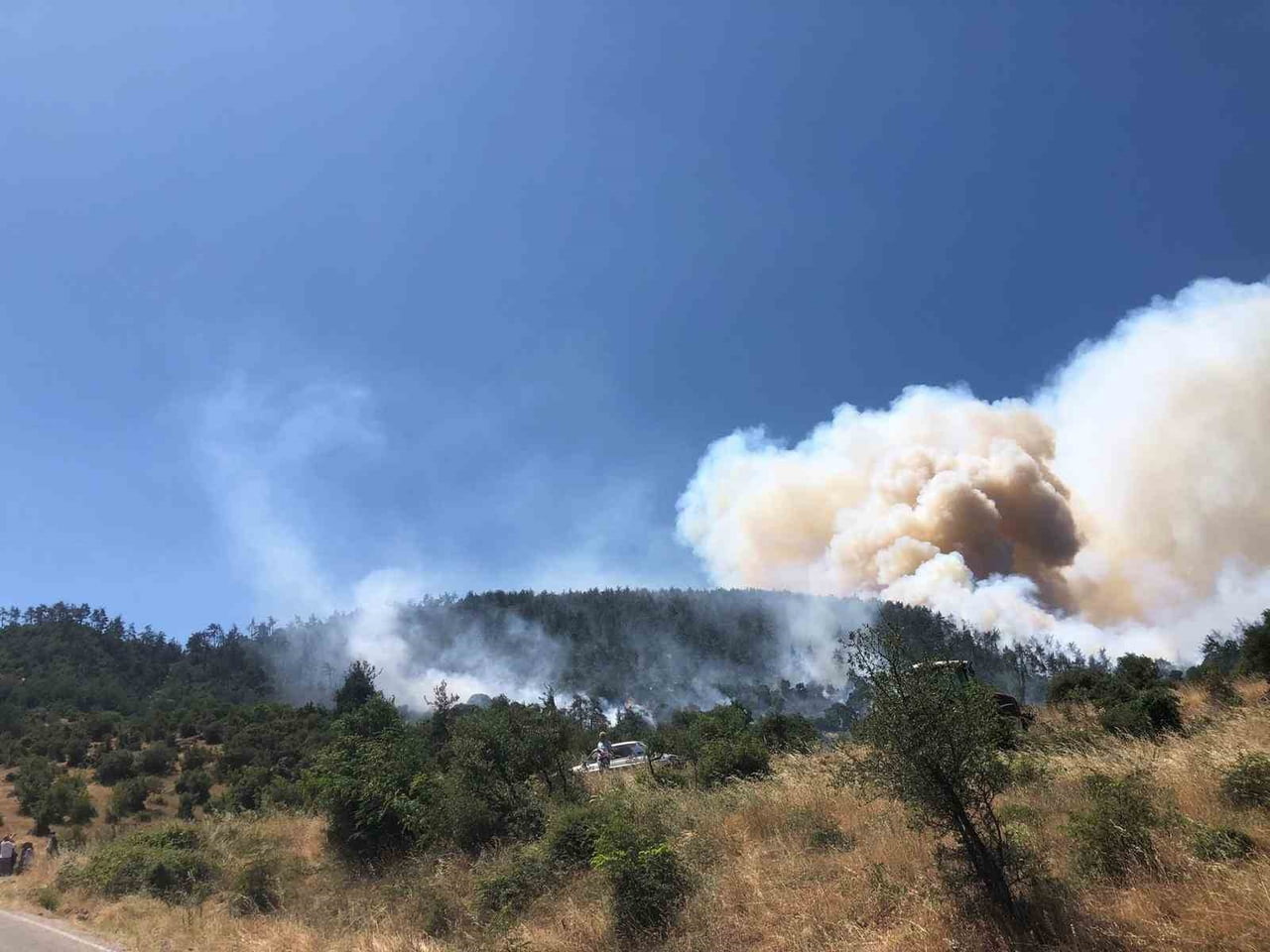 KEPSUT İLÇESİNDE ORMAN YANGINI
