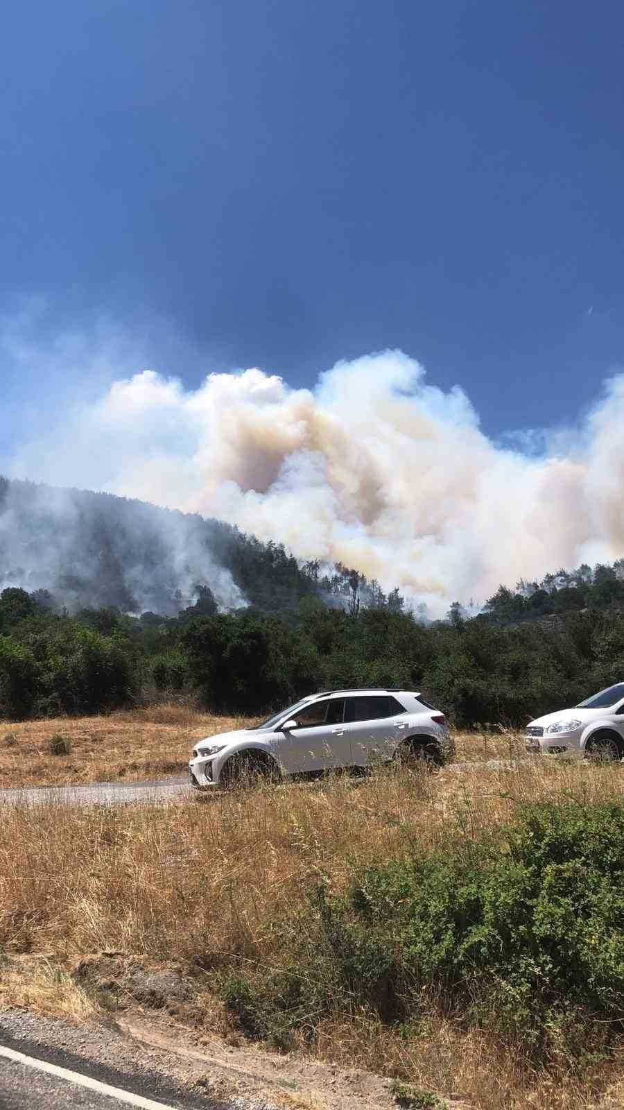 KEPSUT İLÇESİNDE ORMAN YANGINI