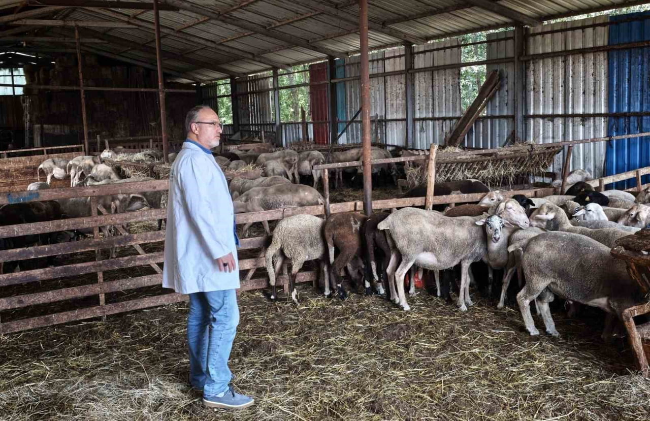 KOCAELİ BÜYÜKŞEHİR BELEDİYESİ, KENT GENELİNDE HAYVANCILIKLA UĞRAŞAN ÜRETİCİLERE YÖNELİK HİBE...