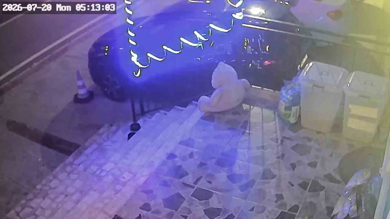 KOCAELİ’NİN KÖRFEZ İLÇESİNDE BİR PETSHOPUN ÖNÜNDE BULUNAN MAMA KUTUSU, KİMLİĞİ HENÜZ...
