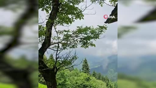 Köyde eve giren ayının yaptıklarını böyle anlattı