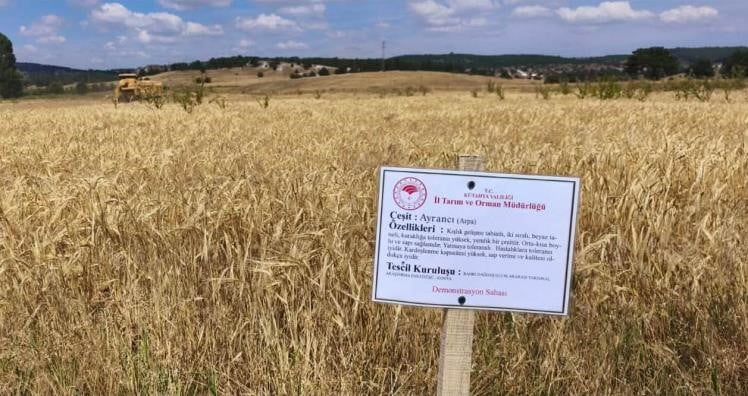KÜTAHYA'DA DEMONSTRASYON PARSELLERİNDE İLK ARPA HASADI YAPILDI