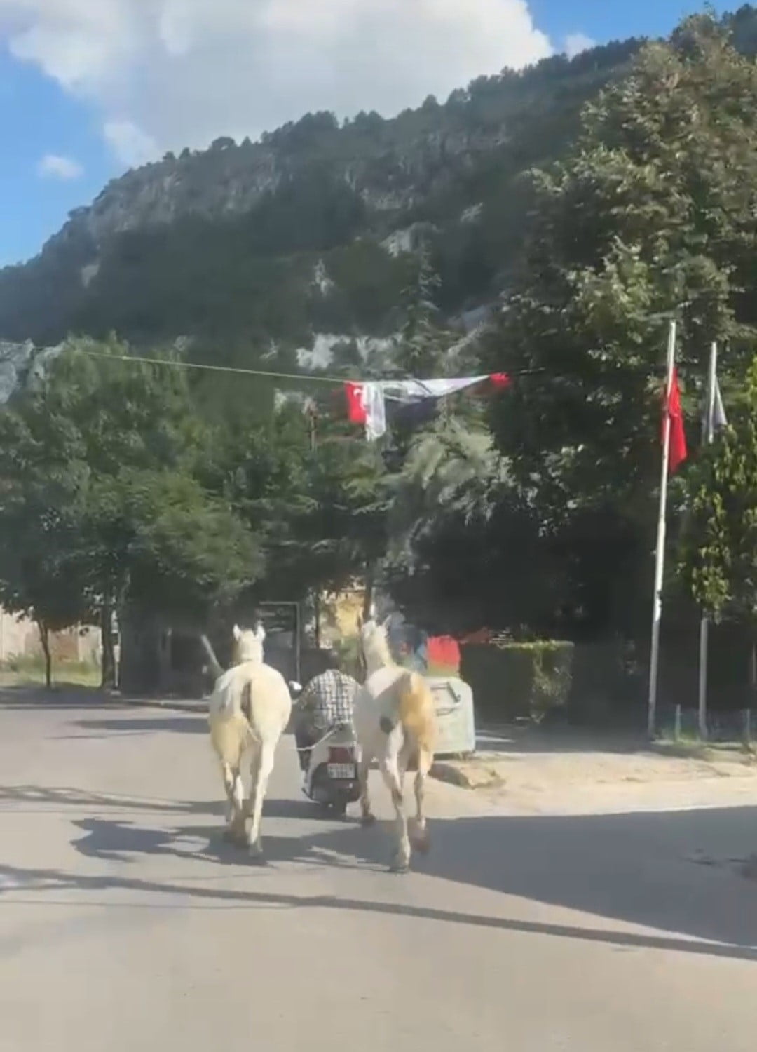 KÜTAHYA'DA İKİ ATI MOTOSİKLETİNE BAĞLAYARAK TRAFİKTE İLERLEYEN SÜRÜCÜ CEP TELEFONU KAMERASINA...