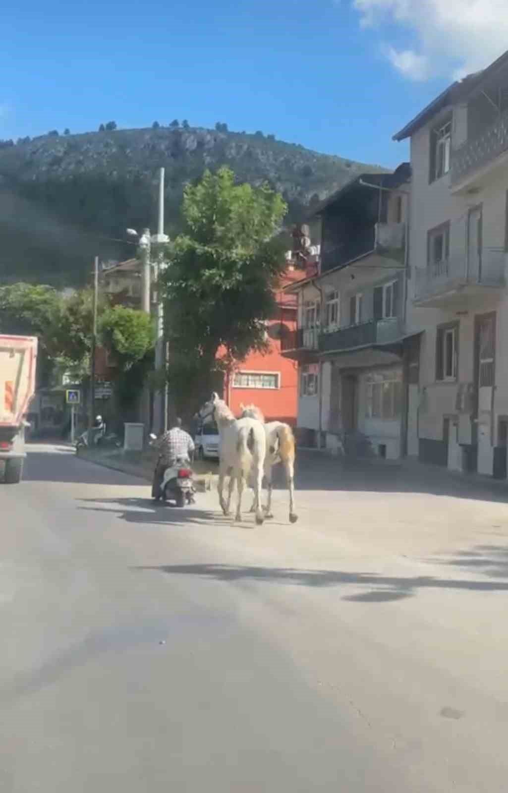 KÜTAHYA'DA İKİ ATI MOTOSİKLETİNE BAĞLAYARAK TRAFİKTE İLERLEYEN SÜRÜCÜ CEP TELEFONU KAMERASINA...