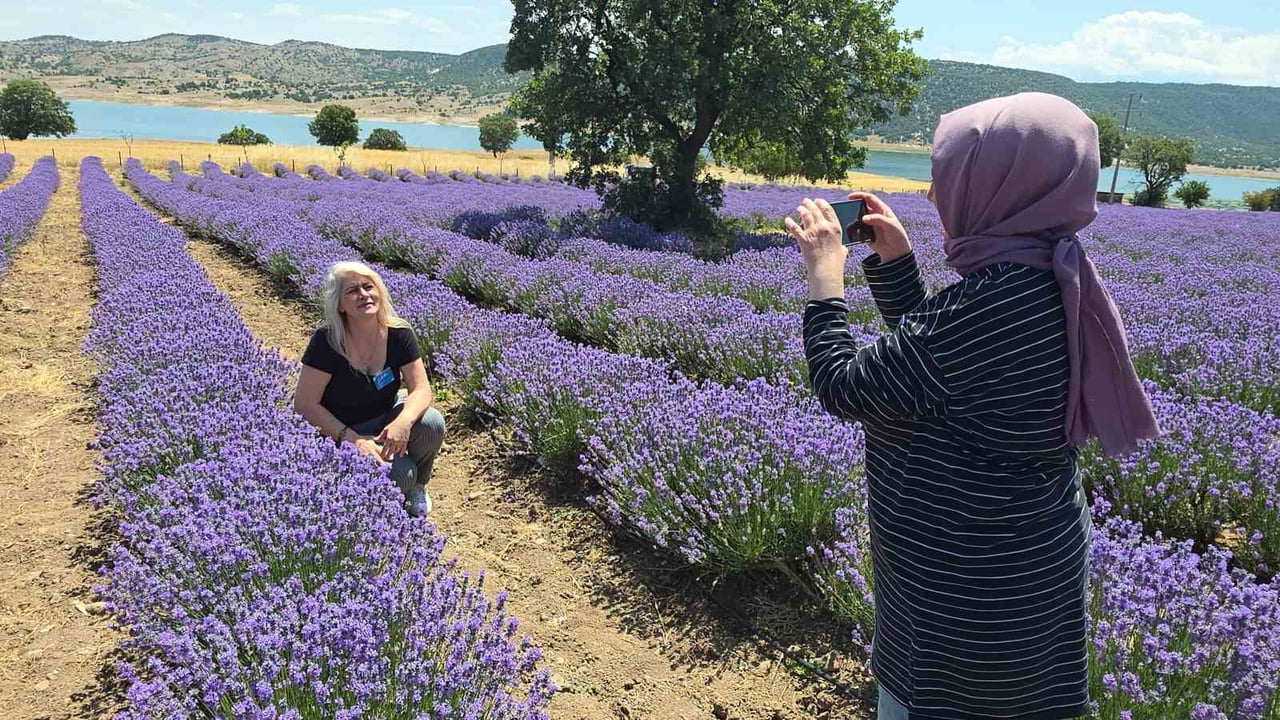KÜTAHYA'DA LAVANTA BAHÇESİ KAPILARINI ZİYARETÇİLERE AÇTI