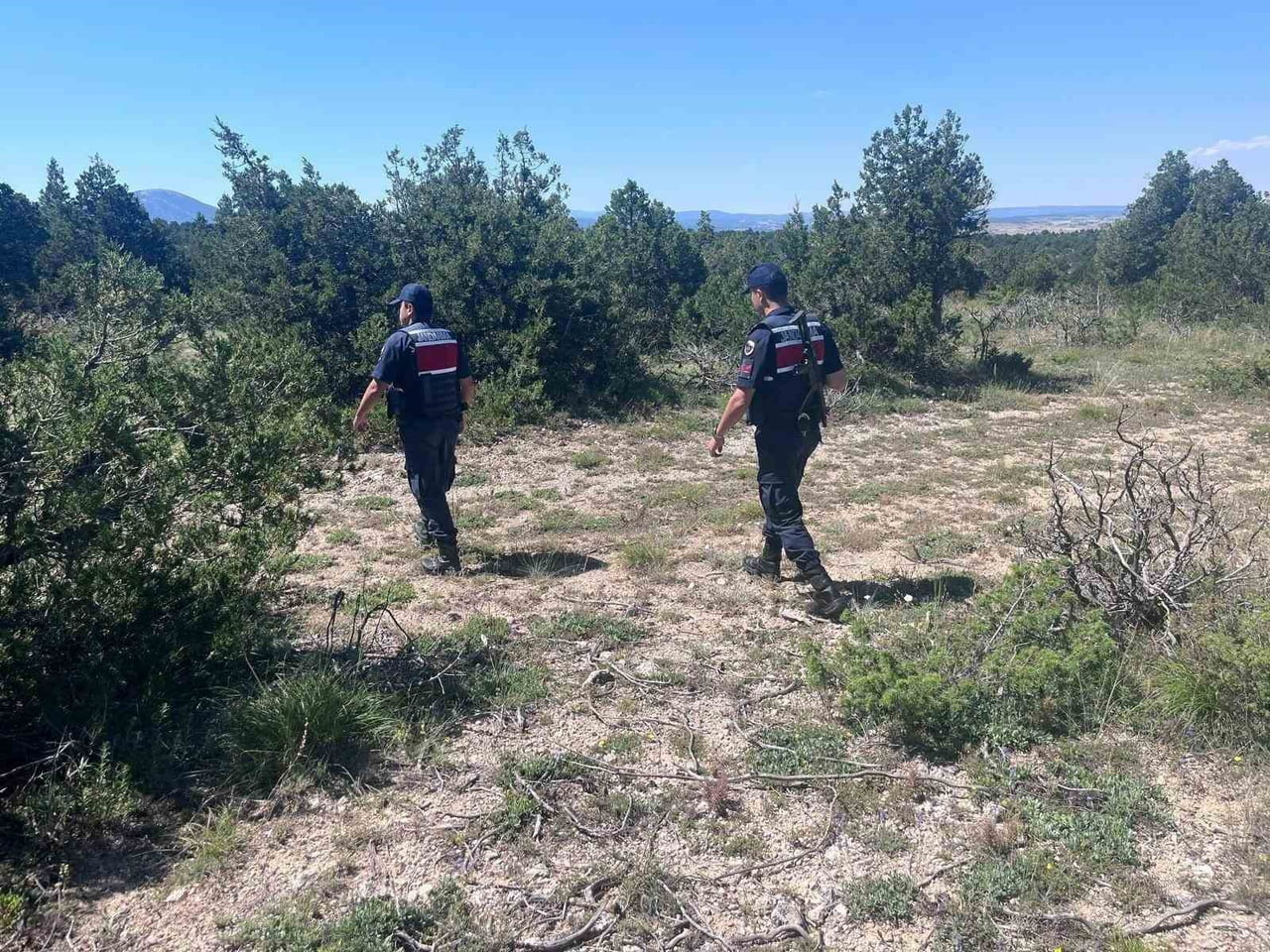 KÜTAHYA'DA ORMAN YANGINLARINA KARŞI JANDARMA TEYAKKUZA GEÇTİ