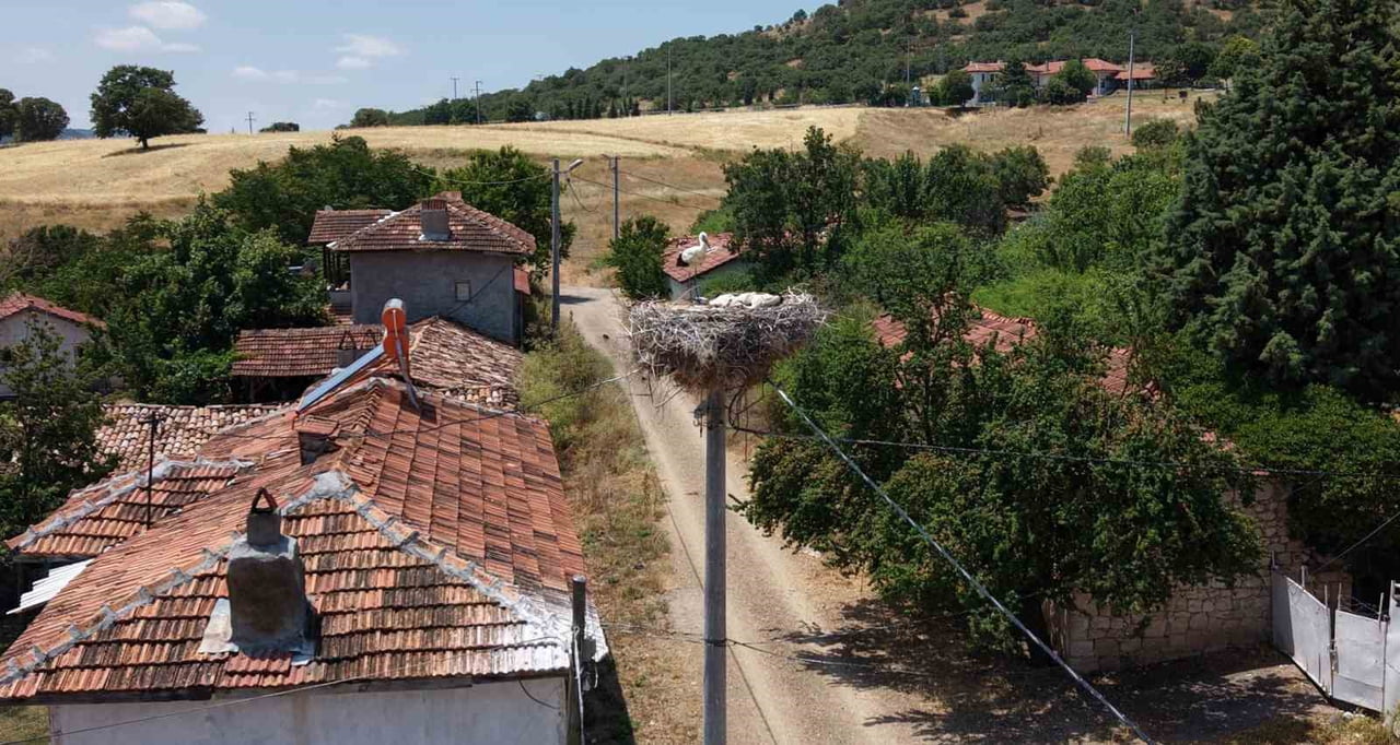 KÜTAHYA’DA LEYLEKLER KÖYÜN MASKOTU OLDU