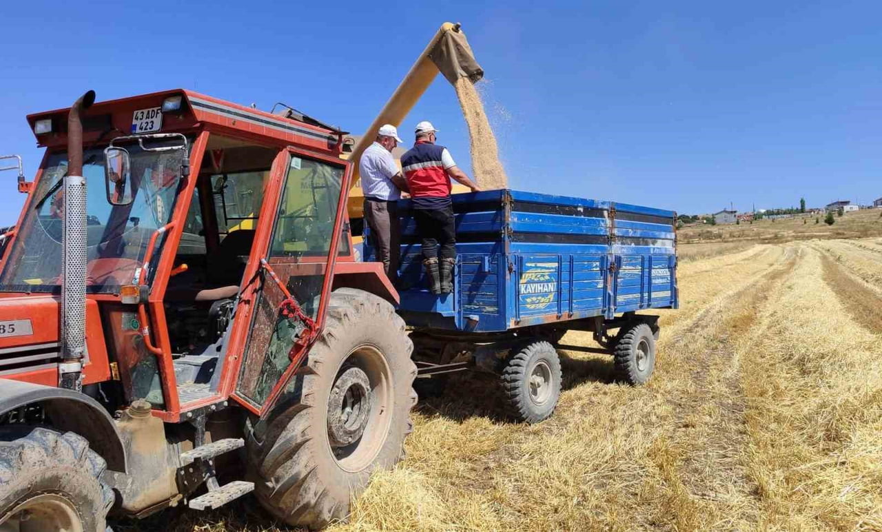 KÜTAHYA’DA YERLİ VE MİLLİ ARPA ÇEŞİTLERİNİN HASADI YAPILDI