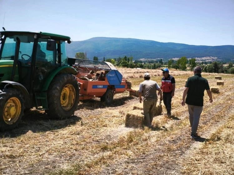 KÜTAHYA KÖPRÜÖREN KÖYÜNDE YEM BEZELYESİ DEMONSTRASYONUNDA HASAT TAMAMLANDI