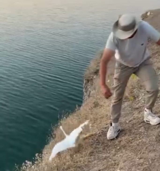 MALATYA'DA AMATÖR BALIKÇILARIN OLTASINA BALIK YERİNE MARTI TAKILDI. O ANLAR CEP TELEFONU...