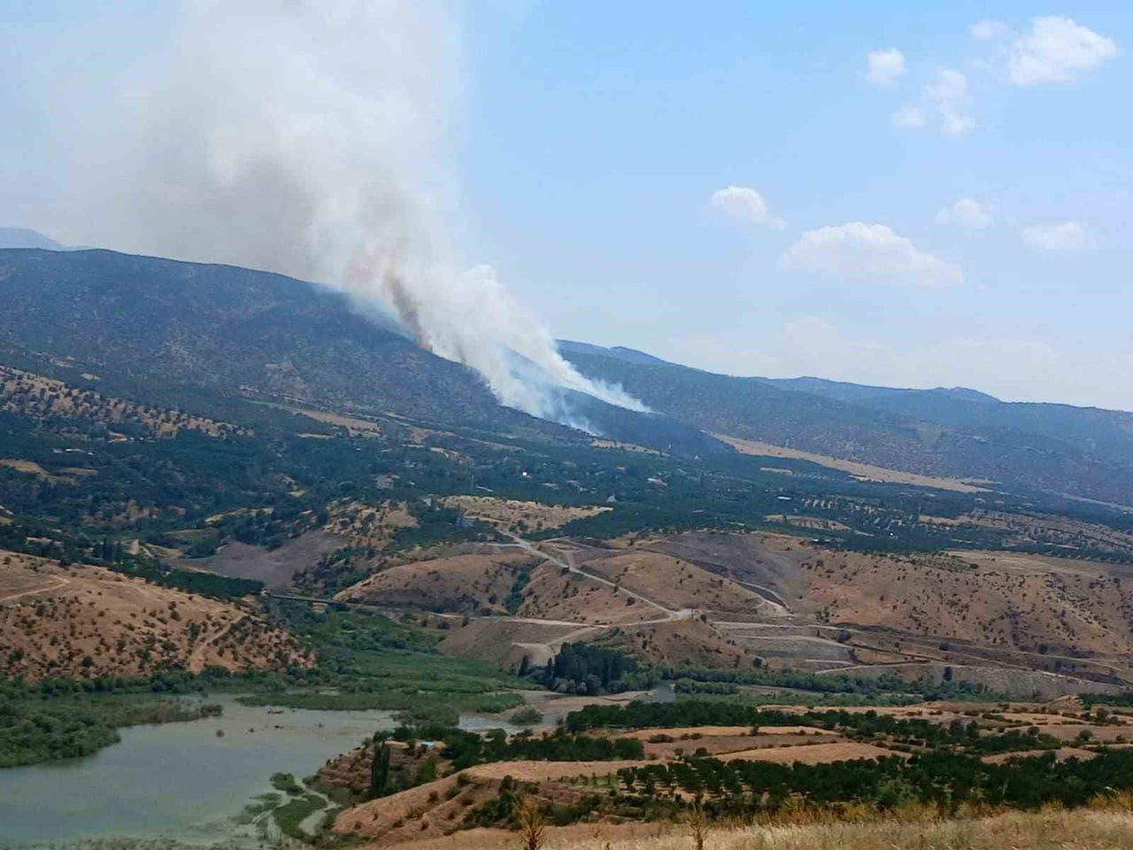 MALATYA’NIN PÜTÜRGE İLÇESİNDE ORMAN YANGINI ÇIKTI
