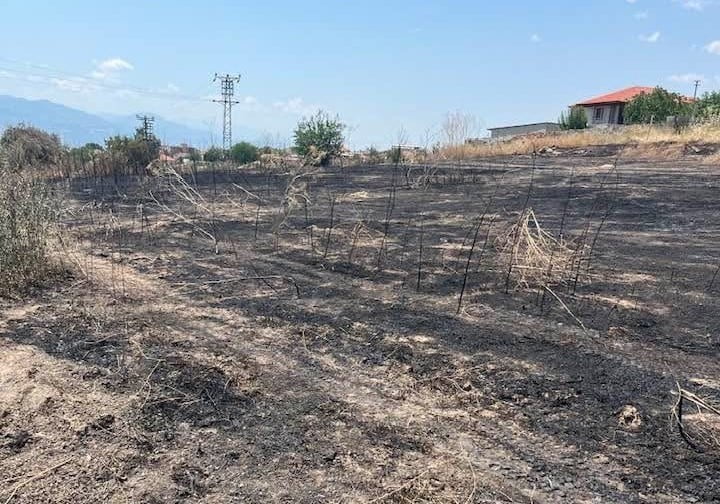 MANİSA'NIN SARIGÖL İLÇESİNDE OTLUK ALANDA ÇIKAN YANGIN, MAHALLE SAKİNLERİ VE İTFAİYE EKİPLERİNİN...