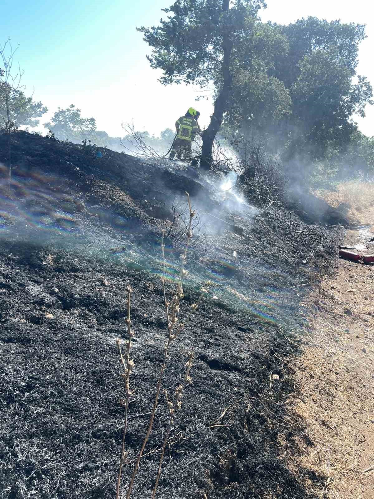 MANYAS'TA YANAN ARAÇTAN OTLUK ALANA SIÇRAYAN YANGIN SÖNDÜRÜLDÜ