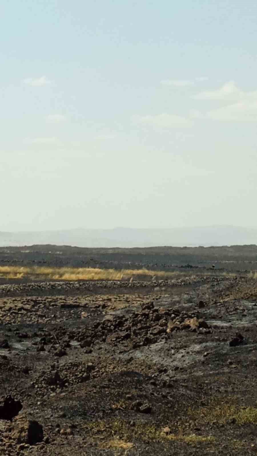 MARDİN'İN DERİK İLÇESİNDE ÇIKAN ANIZ YANGINI İTFAİYE EKİPLERİNİN MÜDAHALESİYLE...