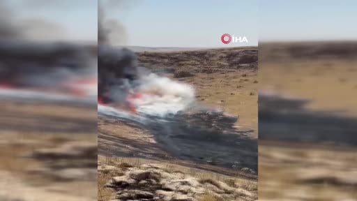 Mardin’de otluk alanda yangın