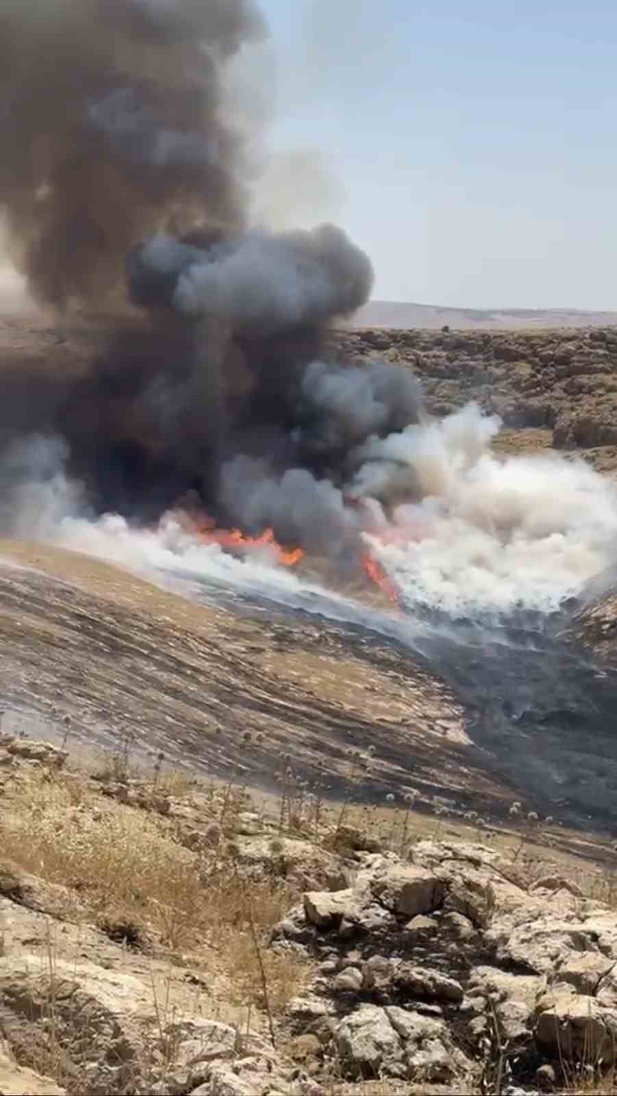 MARDİN’İN ARTUKLU İLÇESİNDE ÇIKAN OT YANGINI İTFAİYE EKİPLERİNCE SÖNDÜRÜLDÜ